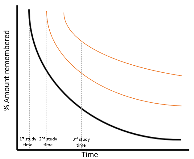 Forgetting Curve