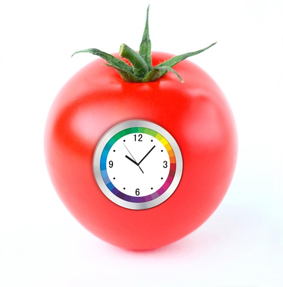 Pomodoro technique
